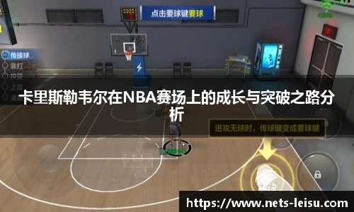 雷速体育比分